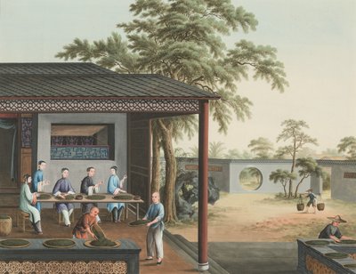 Produzione del tè, c. 1820 da School Chinese