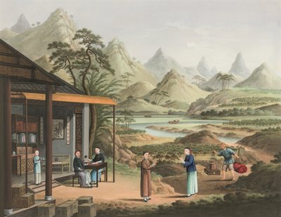 Produzione del tè da School Chinese