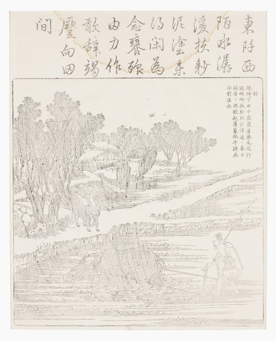 Lavorare la risaia in tempo secco da School Chinese
