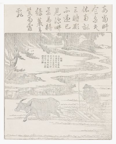 Lavorazione del riso in condizioni di maltempo da School Chinese