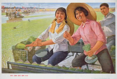 Trapiantare piantine con una macchina è buono, poster di propaganda della Rivoluzione Culturale Cinese da School Chinese