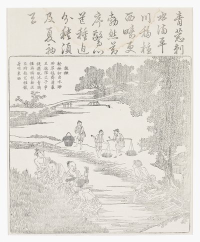 Trapiantare le piantine di riso da School Chinese