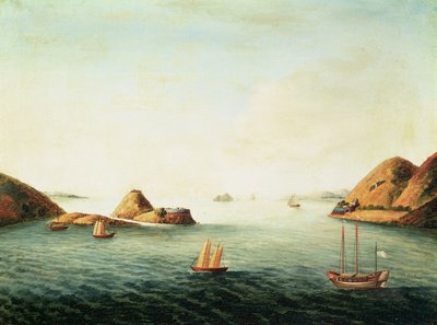 Veduta della Boca Tigris sul fiume Pearl, 1830 circa (olio su tela) da School Chinese
