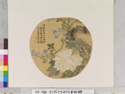 Peonia bianca dopo Yun Shouping da School Chinese