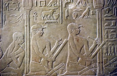 Antico Egitto, Rilievo/Incisione, Tomba di Merereuka, Mastaba di Merereuka, VI Dinastia, Saqqara, Anziani del villaggio costretti ad ammettere i loro errori fiscali ai funzionari (foto) da School Egyptian