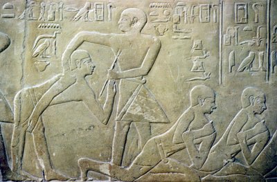 Antico Egitto, Rilievo, Anziani del villaggio costretti ad ammettere i loro errori nelle dichiarazioni fiscali ai funzionari, Tomba di Merereuka, VI dinastia da School Egyptian