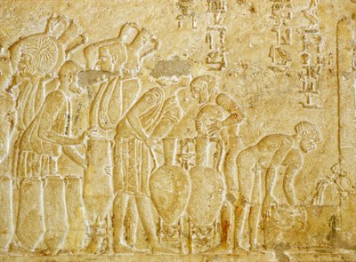 Antico Egitto, Scultura murale, Tomba di Petosiris, 300 a.C., Tuna el Gebel, Raccolta e imbottigliamento del vino da School Egyptian