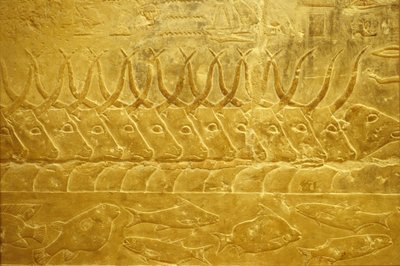 Antico Egitto, Incisione murale/pittura, Mastaba/Tomba di Idout, Saqqara, 2323-2150 a.C., Bovini che attraversano un fiume (foto) da School Egyptian