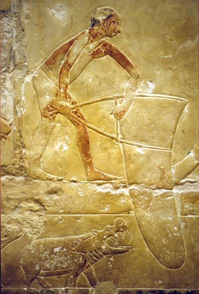 Antico Egitto, Incisione/Pittura murale, Mastaba/Tomba di Idout, Saqqara, VI Dinastia, Pesca con una rete-trappola, Ippopotamo da School Egyptian