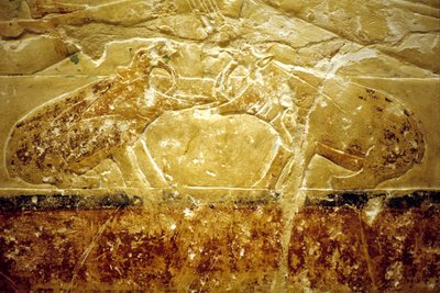 Antico Egitto, Incisione/pittura murale, Mastaba/Tomba di Idout, Saqqara, VI Dinastia, Due ippopotami che combattono da School Egyptian
