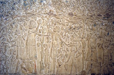 Antico Egitto, Incisione/Pittura murale, Tomba di Petosiris, Tuna el Gebel, 300 a.C., Raccolta dell