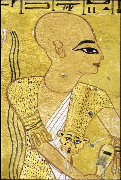 Antico Egitto, Pittura murale Tomba di Inherkhau, Tebe, Tomba dei Nobili, XX dinastia, Un sacerdote che versa libagioni per Inherkhau da School Egyptian