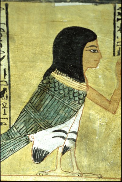 Antico Egitto, pittura murale Tomba di Inherkhau, Tebe, Tomba dei Nobili, XX dinastia, Ba o anima di Inherkhau da School Egyptian
