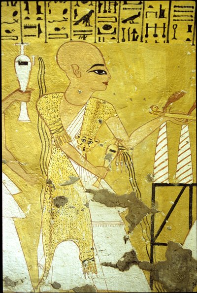 Antico Egitto, Pittura murale Tomba di Inherkhau, Tebe, Tomba dei Nobili, XX dinastia, Un sacerdote che versa libagioni per Inherkhau da School Egyptian