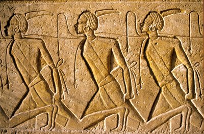 Antico Egitto, pittura/scultura murale, fila di prigionieri rappresentanti il popolo Kushita, raffigurati come africani, sconfitti da Ramesse II, Tempio di Ramesse II, Abu Simbel da School Egyptian