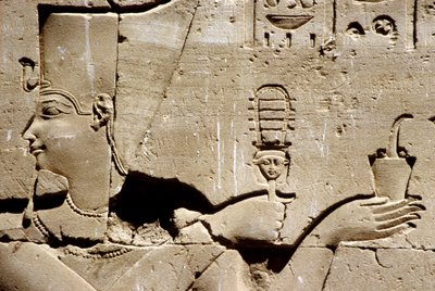 Antico Egitto, Pittura murale/incisione, Il faraone Tolomeo che scuote un sistro e offre incenso, Tempio di Horus, Edfu (foto) da School Egyptian