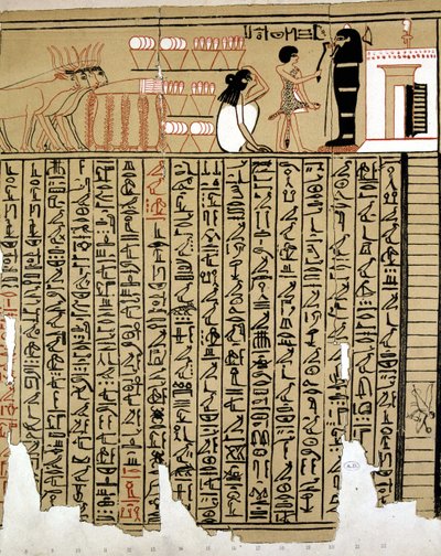 Geroglifici Egiziani da School Egyptian
