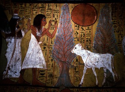 Luxor - Tebe: Riva sinistra del Nilo. Sito di DEIR EL MEDINEH: Villaggio e necropoli degli artigiani. (dettaglio) da School Egyptian