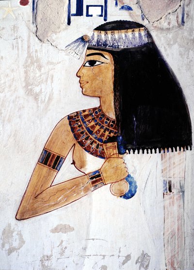 Luxor Tebe: Riva Ovest, Necropoli dei Nobili, Valle dei Nobili. Tomba di Menna (XVIII Dinastia) da School Egyptian