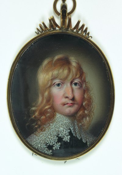 Un gentiluomo chiamato William Cavendish da School English