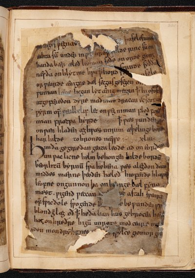 Una pagina di Beowulf dai fogli a volte chiamati 