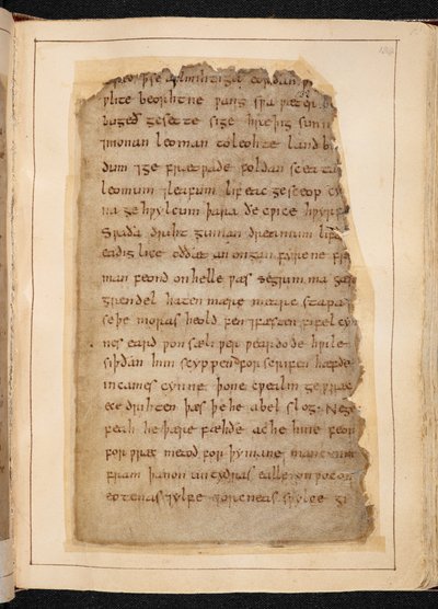 Una pagina di Beowulf dai fogli a volte chiamati 
