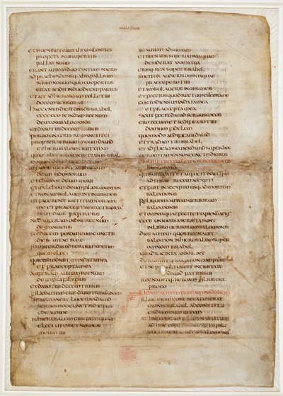 Frammento della Bibbia dal Libro dei Re (la 