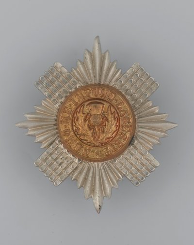 Distintivo da berretto, c.1896-1920 (metallo) da School English
