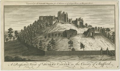 Castello di Dudley da School English
