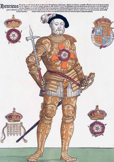 Re Enrico VIII d