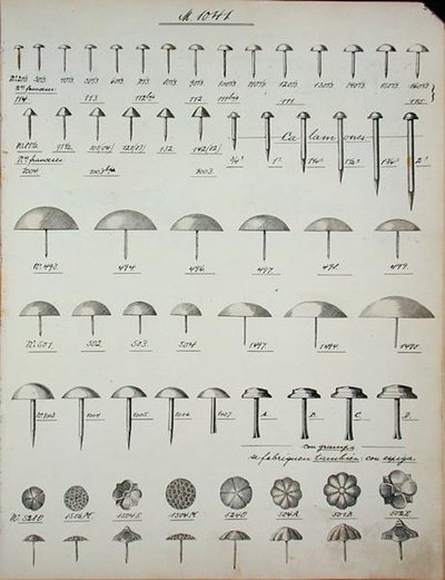 Chiodi, puntine e spilli, da un catalogo commerciale di beni e accessori domestici, c.1890-1910 da School English
