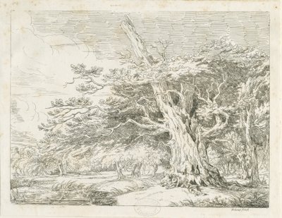 Needwood - Quercia da School English