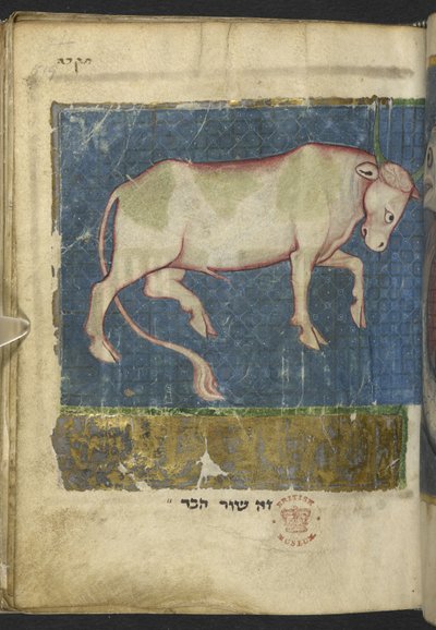 Un toro, da una Miscellanea di testi biblici e altri (