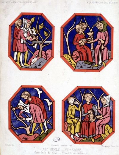 Corporazione dei vignaioli - vetrata dei viticoltori della Cattedrale di Le Mans da School French