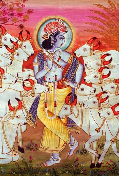 Signore Krishna e mucche Miniatura da School Indian