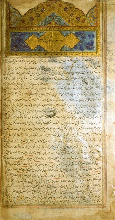Pagina dal Canone della Medicina (al-Qānūn fī aṭ-Ṭibb) di Avicenna da School Iranian