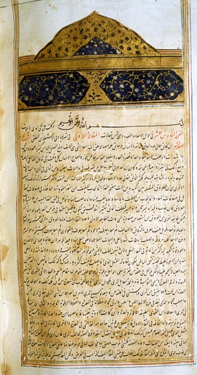 Pagina dal Canone della Medicina (al-Qānūn fī aṭ-Ṭibb) di Avicenna da School Iranian