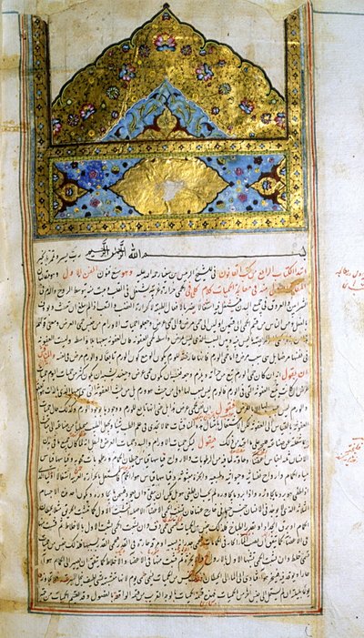 Pagina dal Canone della Medicina (al-Qānūn fī aṭ-Ṭibb) di Avicenna da School Iranian