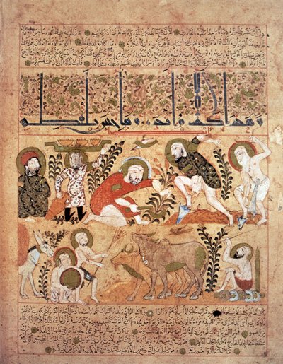 Illustrazione dal 