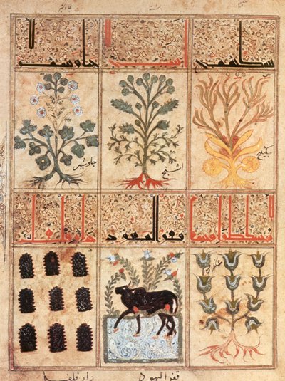 Illustrazione dal 