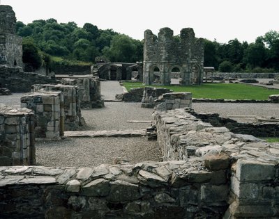 Abbazia di Mellifont vicino a Drogheda da School Irish