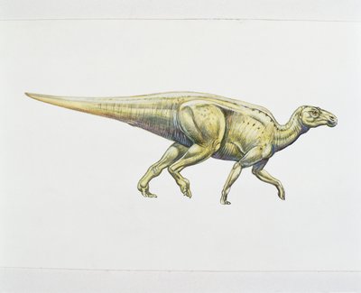Dinosauro adrosauride o a becco d