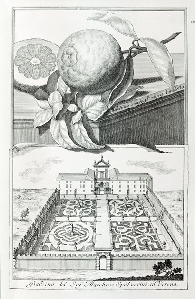 Villa del Marchese Spolverini di Verona, da "Ville, Giardini e Paesaggi a Venezia" di A. Volkamer da School Italian