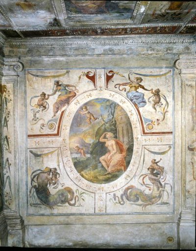 Parete nel bagno di Cosimo I de