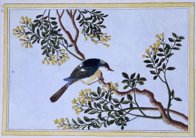 Uccello - stampa giapponese da Japanese School