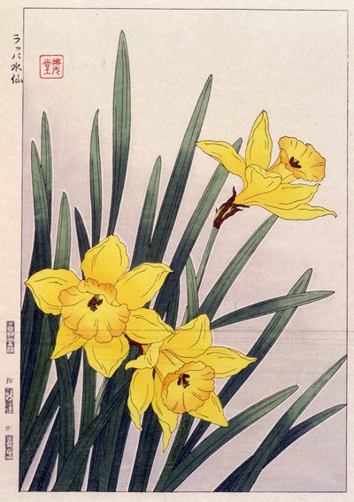 Narcisi chiusi - Stampa giapponese da Japanese School