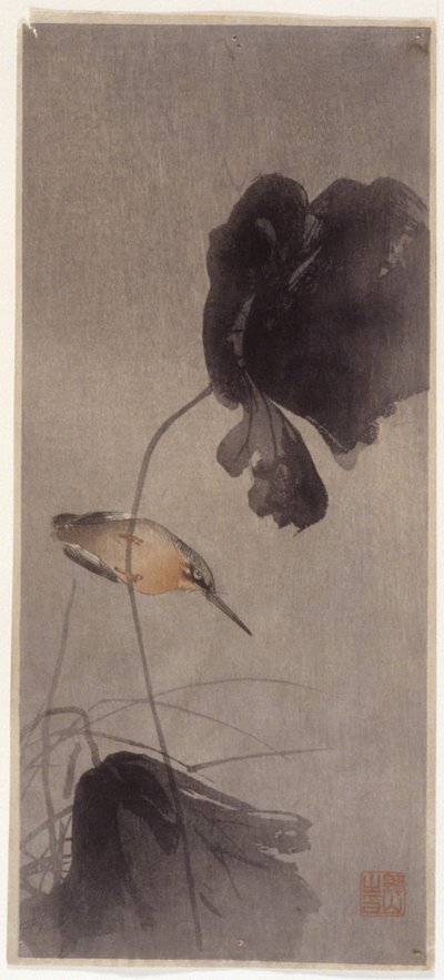 Martin pescatore da School Japanese