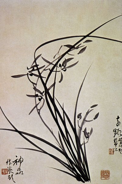 Orchidee. Stampa coreana della dinastia YI. da School Korean