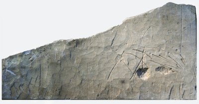 Iscrizione funeraria ebraica da Beth Loya, colline della Giudea, Israele, VI secolo a.C. da School Levantine