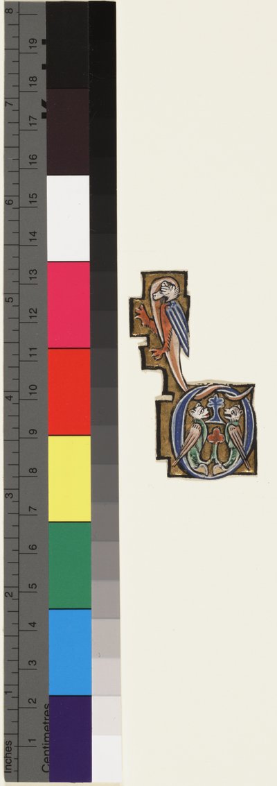 Iniziale D, da un salterio-ore, c.1270 da School Mosan
